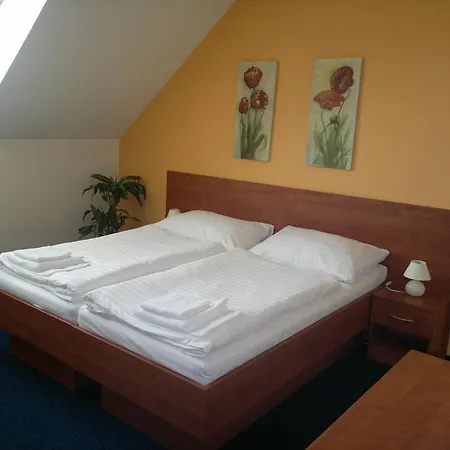 Affittacamere Penzion Přeštěnice *